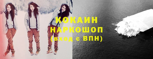 мдпв Михайлов