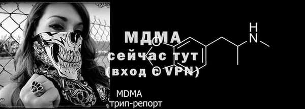 сатива Михайловск