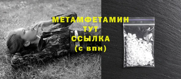 сатива Михайловск
